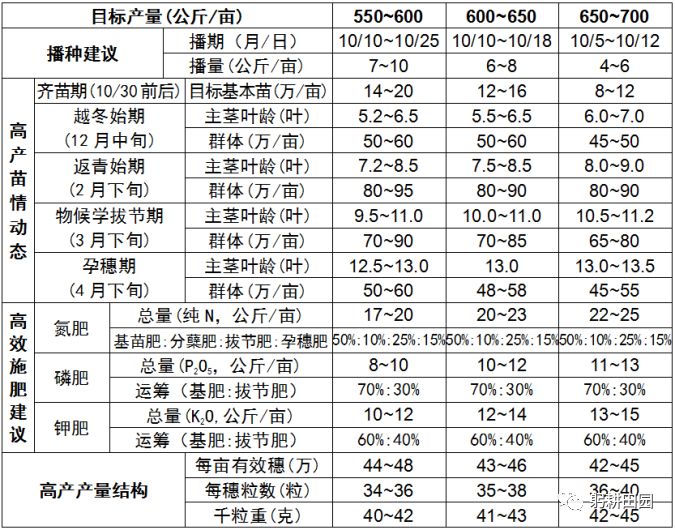 高产栽培方案